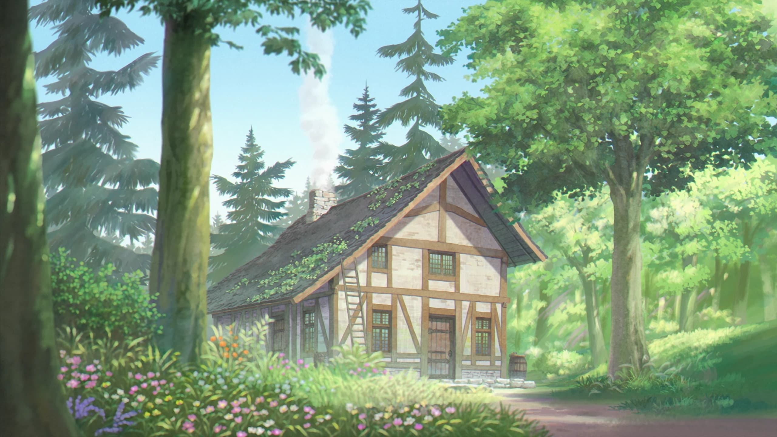 Background